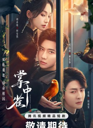 Птица в ладони