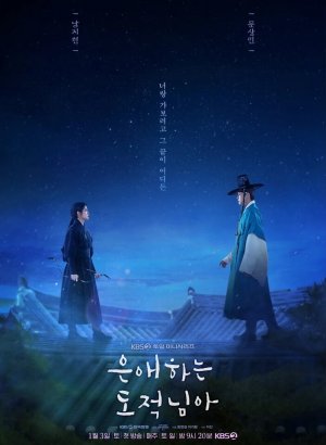 Дорама Моя любимая воровка